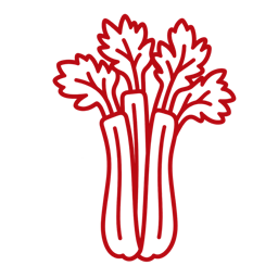 Celery