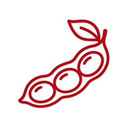 Soy