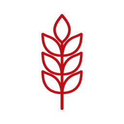 Gluten